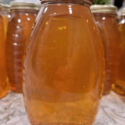 1 Pound Jar Honey - Apiary1 - zip 27592