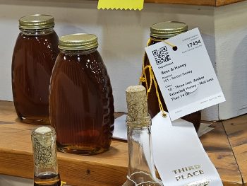 1 Pound Jar Honey - Apiary2 - zip 27520 Clayton - Image 2